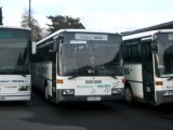 linienbusse.jpg