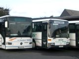 linienbussei.jpg